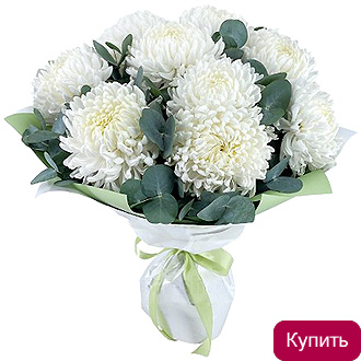 Белые хризантемы в букете